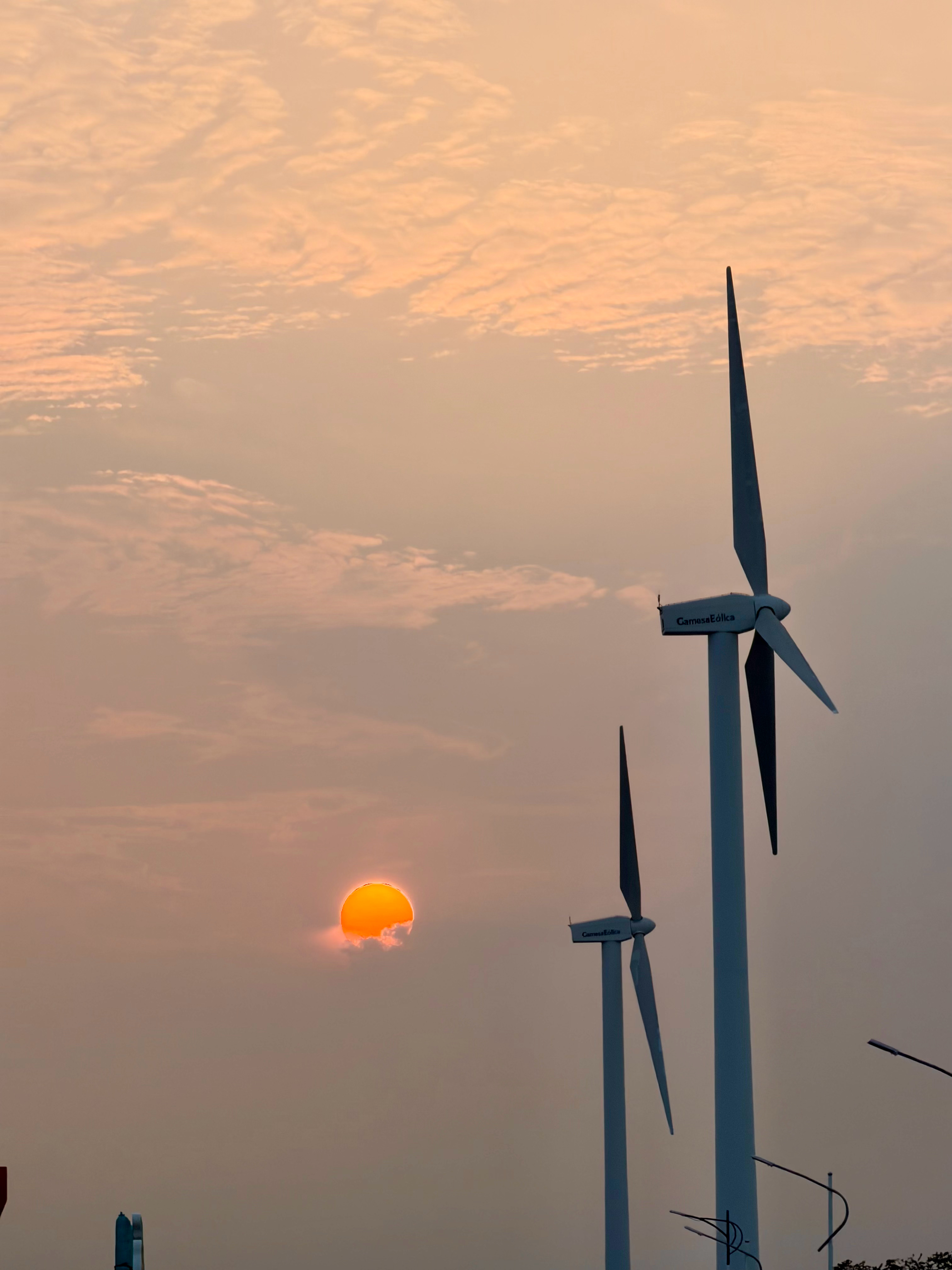 抓到了两只可爱的蟹老板🦀我的日常plog ​​​