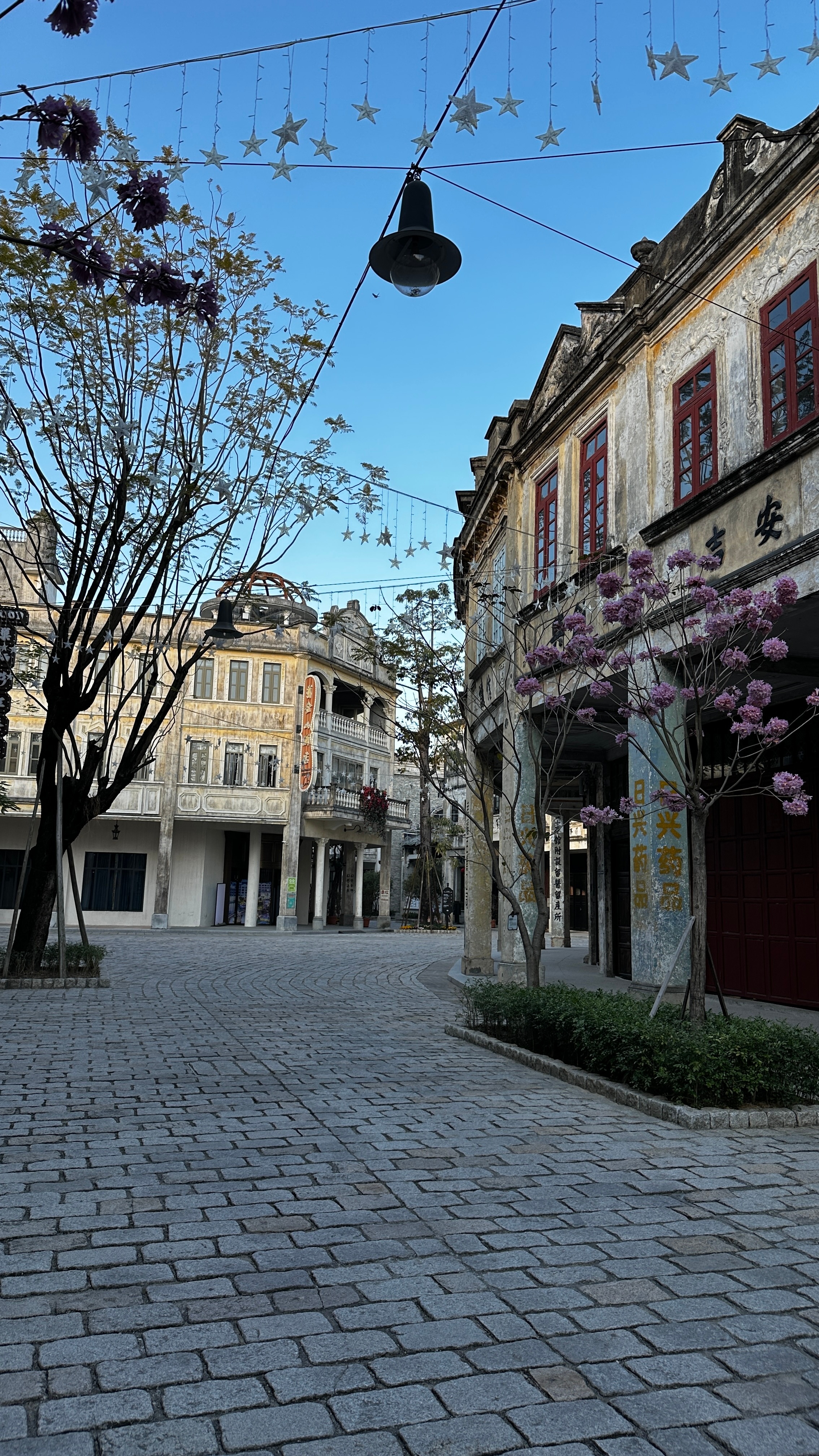 一条plog告别2025 我的2025是被谭松韵给包围的，从1月的方婉之到5月的