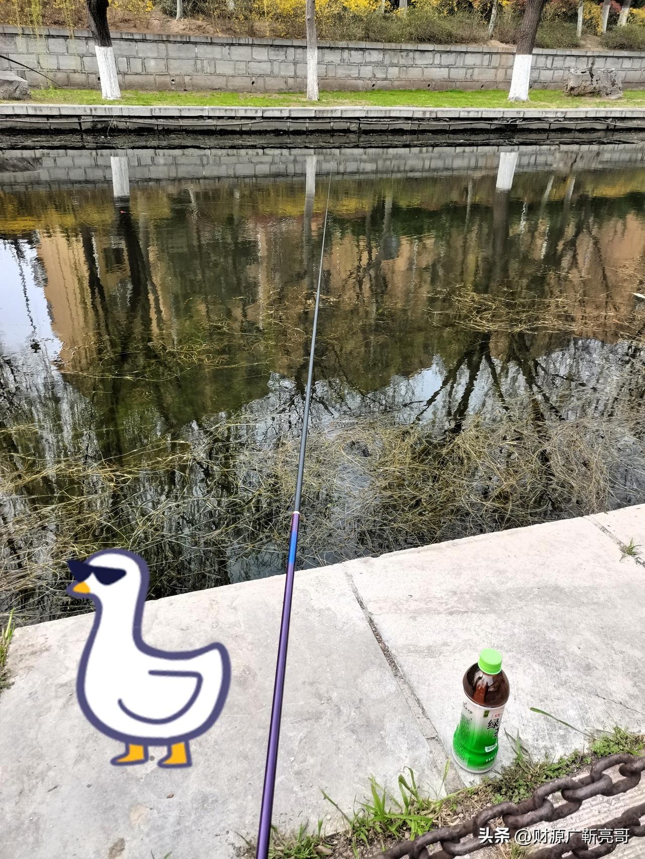 春风拂过河岸，垂柳的影子在水面漾开细碎的波纹。我握着鱼竿静静伫立，看水草在水底轻