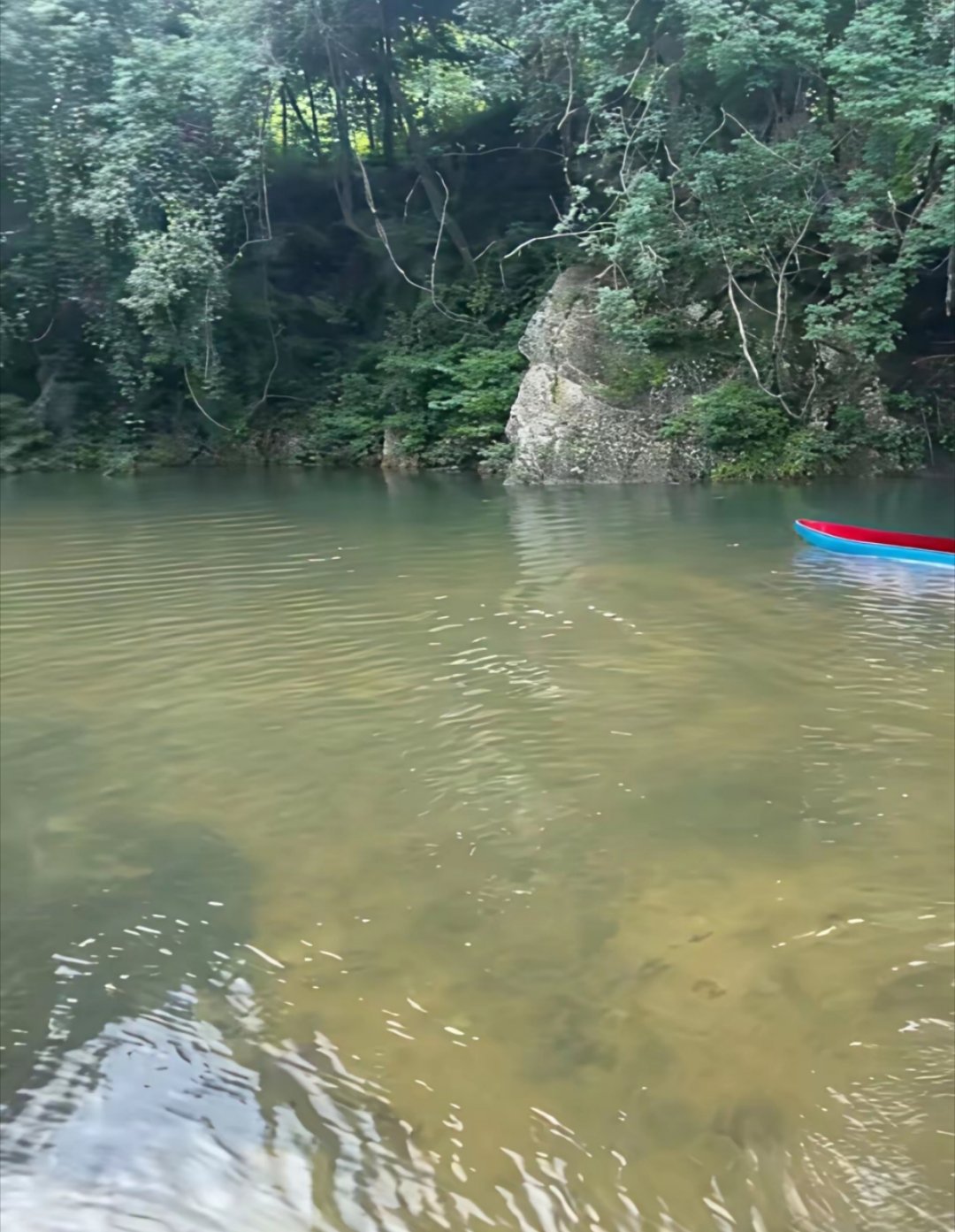 网友：“屈原扑通一声，全国放假三天。全红婵扑通一声，全村光荣。你们说，如果我扑通