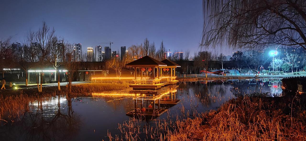 夜游植物园，小桥流水潺潺，夜色下万物归于平静，宁静中点缀些许流金，讲述这一天的故