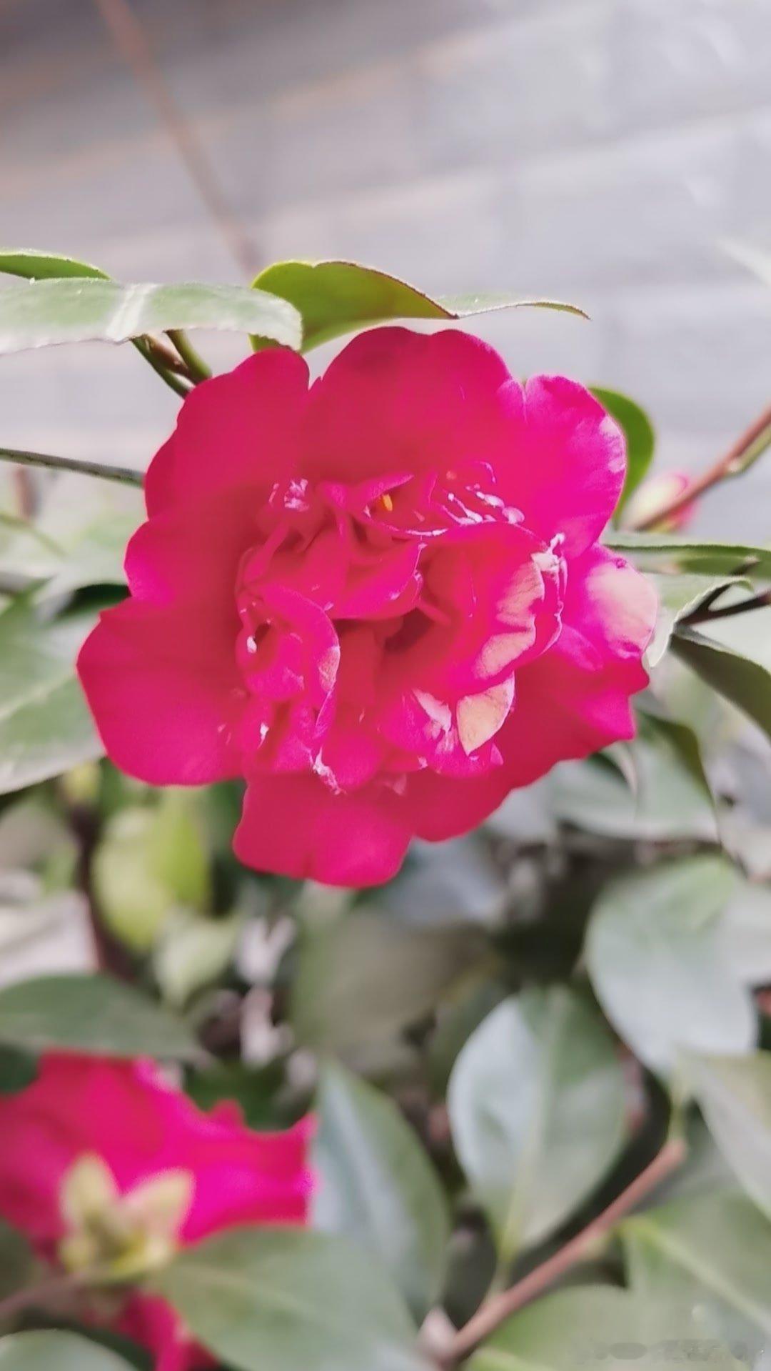 人们愿意牺牲23%的薪水，去做一份更有意义的工作而悖论是，你甘心情愿的持续做的这