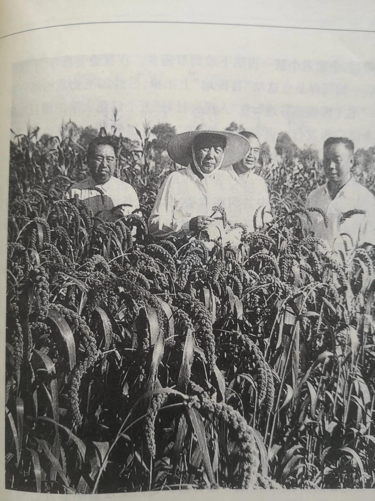 照片后面有故事

       这是一张非常有名的照片。拍摄者宋海燕，当时是《河