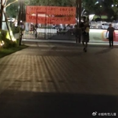 夜晚散步，路灯、树影，万家灯火，平凡的小美好✨ 