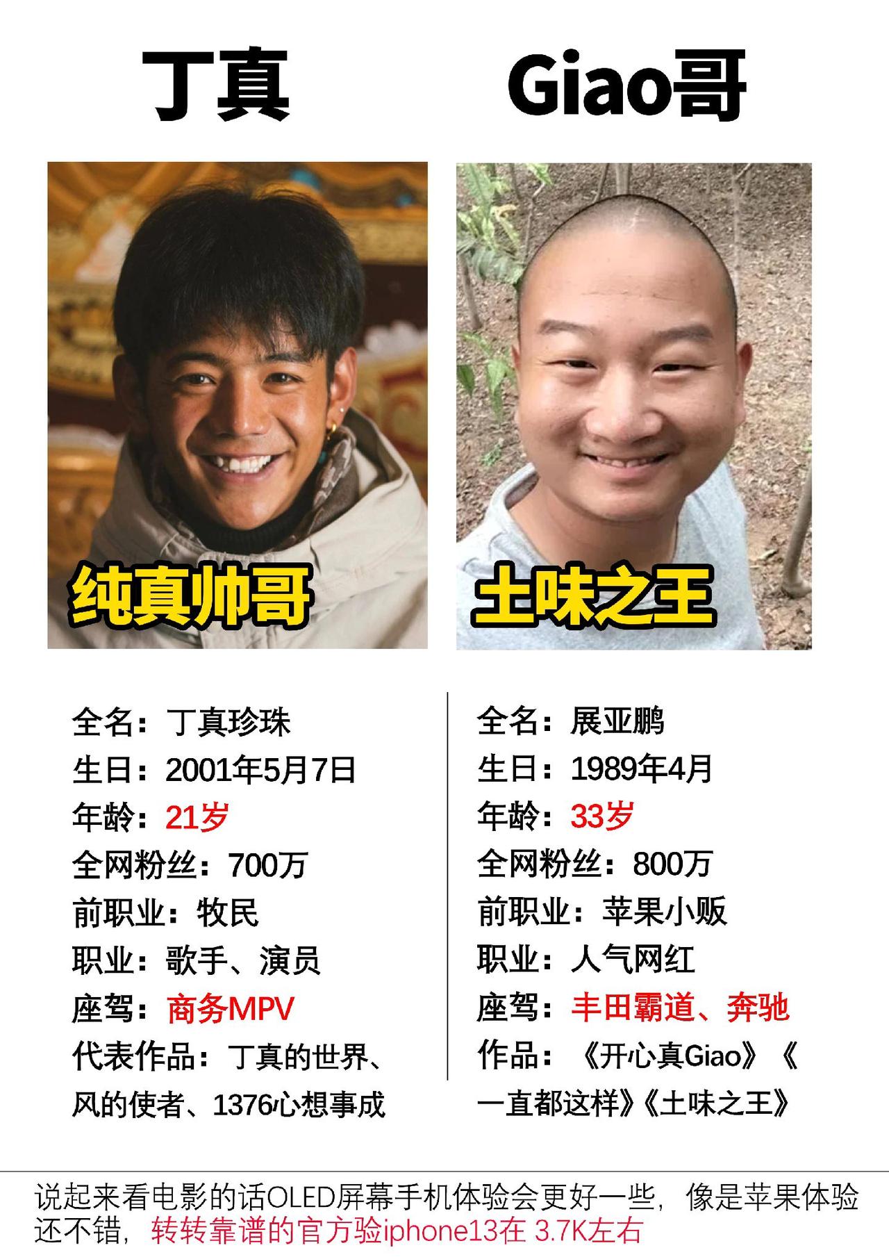 两位因网络改变命运的网红#展亚鹏 #丁真 #giao哥