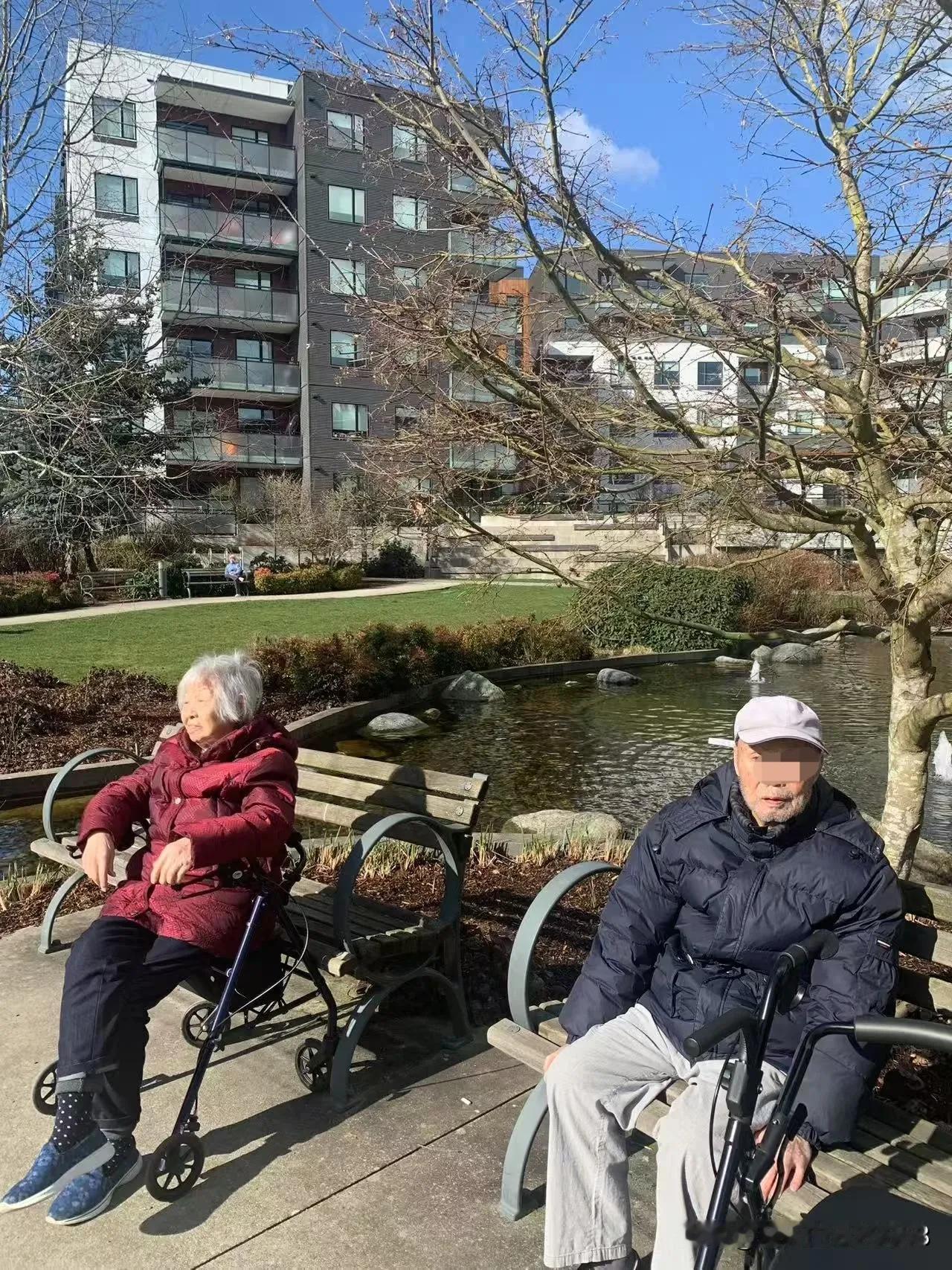 人老了真可怜，我舅舅舅妈都90多岁了，以前都是大学教授，是说一不二的人物，现在老