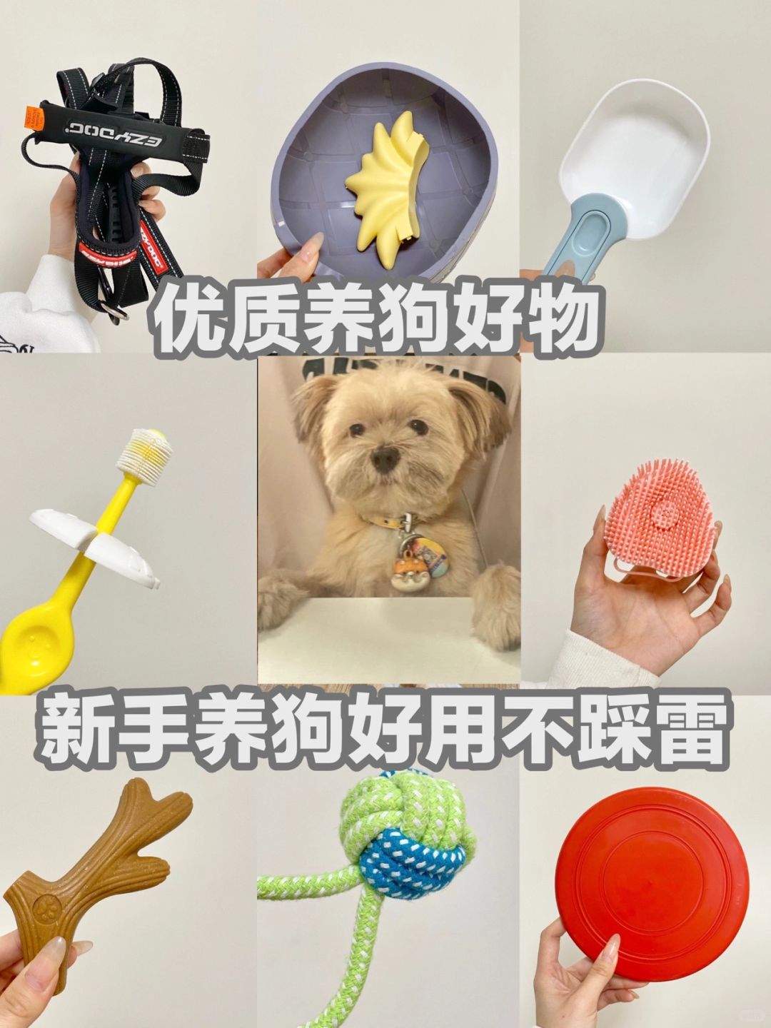 优质养狗好物🦴好用不踩雷