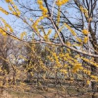 我的今日状态：😁轻松愉快
我这里的天气：☀️晴天