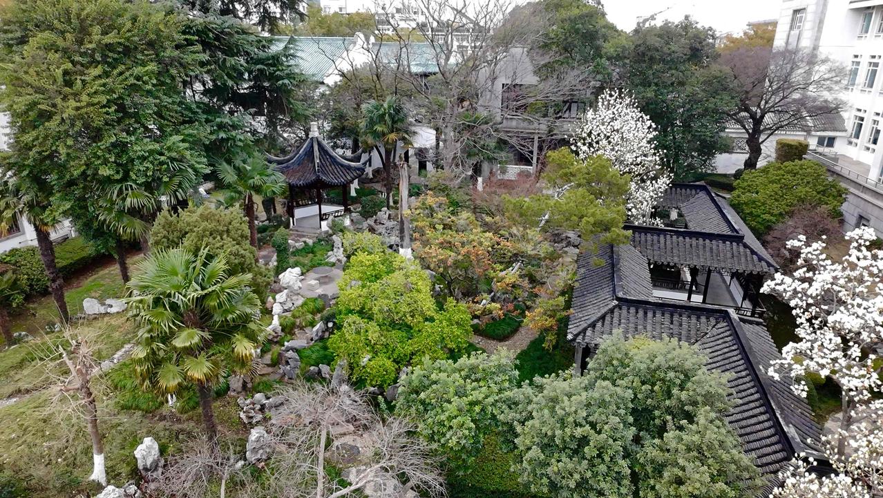 分享一张你手机里最近拍的风景照苏州市图书馆深处，藏着一方清幽小园。