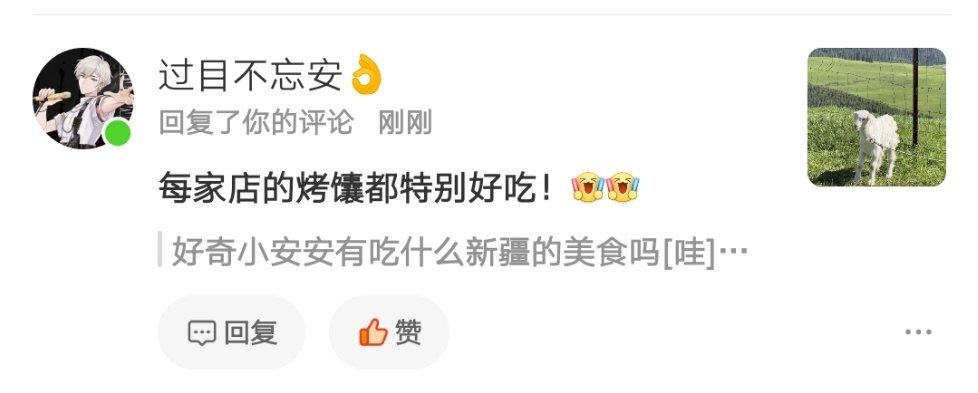 向安小宝宝