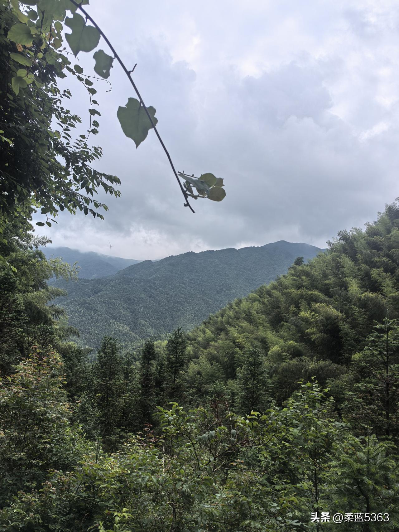 我在家乡以及周边的旅行马上就要结束了。

很完美。

亲情，森林，优质空气都拥有