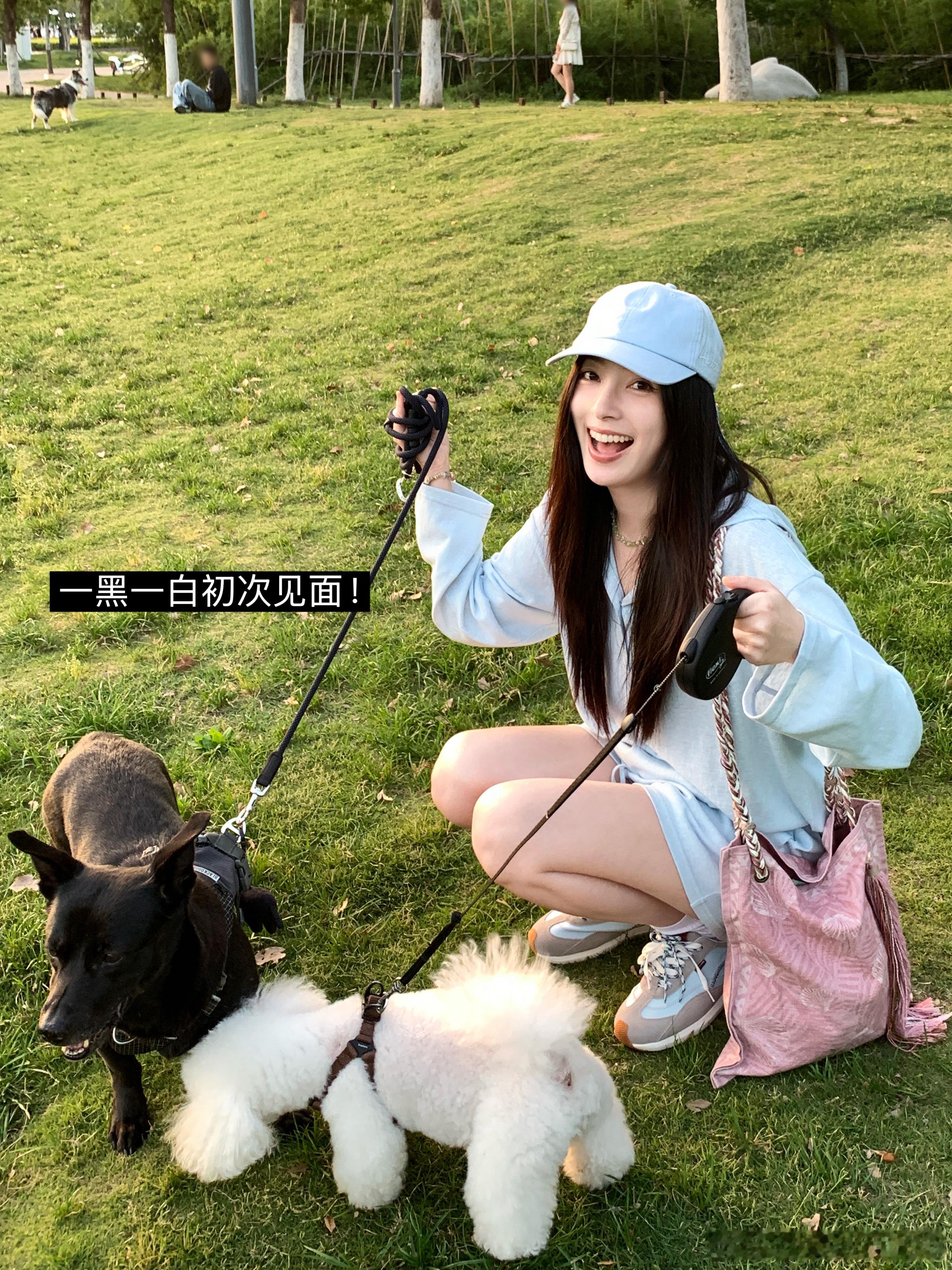 puppy time🐶🐕🦺和我的公园搭子们！ 