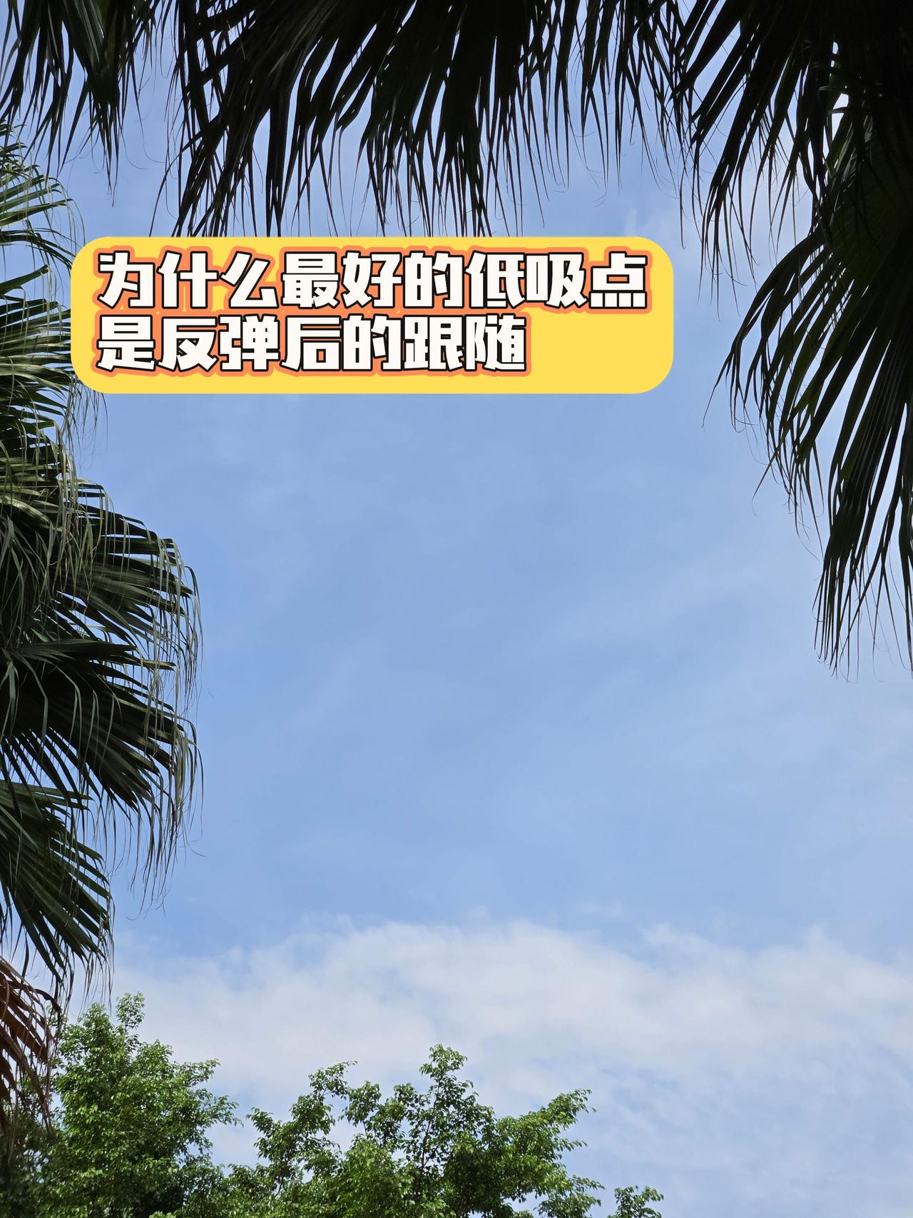 低吸 游资