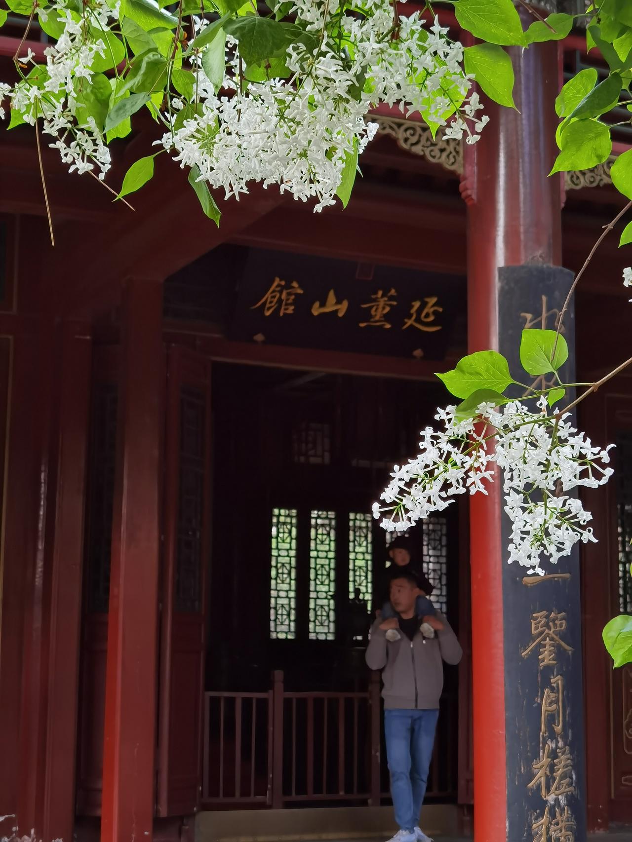 实话实说 ，避暑山庄内的绿植整的不咋地。唯一拿得出手的是延薰山馆内的丁香。

延
