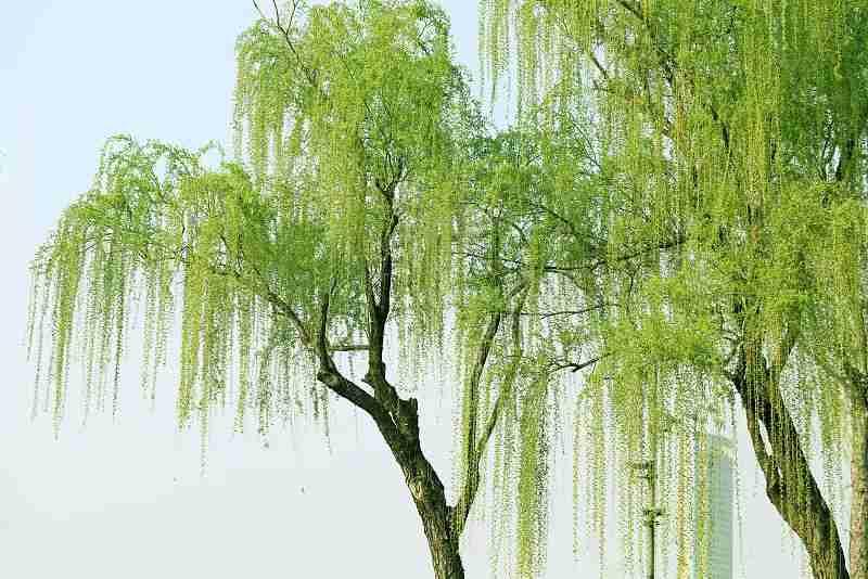 我的今日状态：😁轻松愉快
我这里的天气：☀️晴天