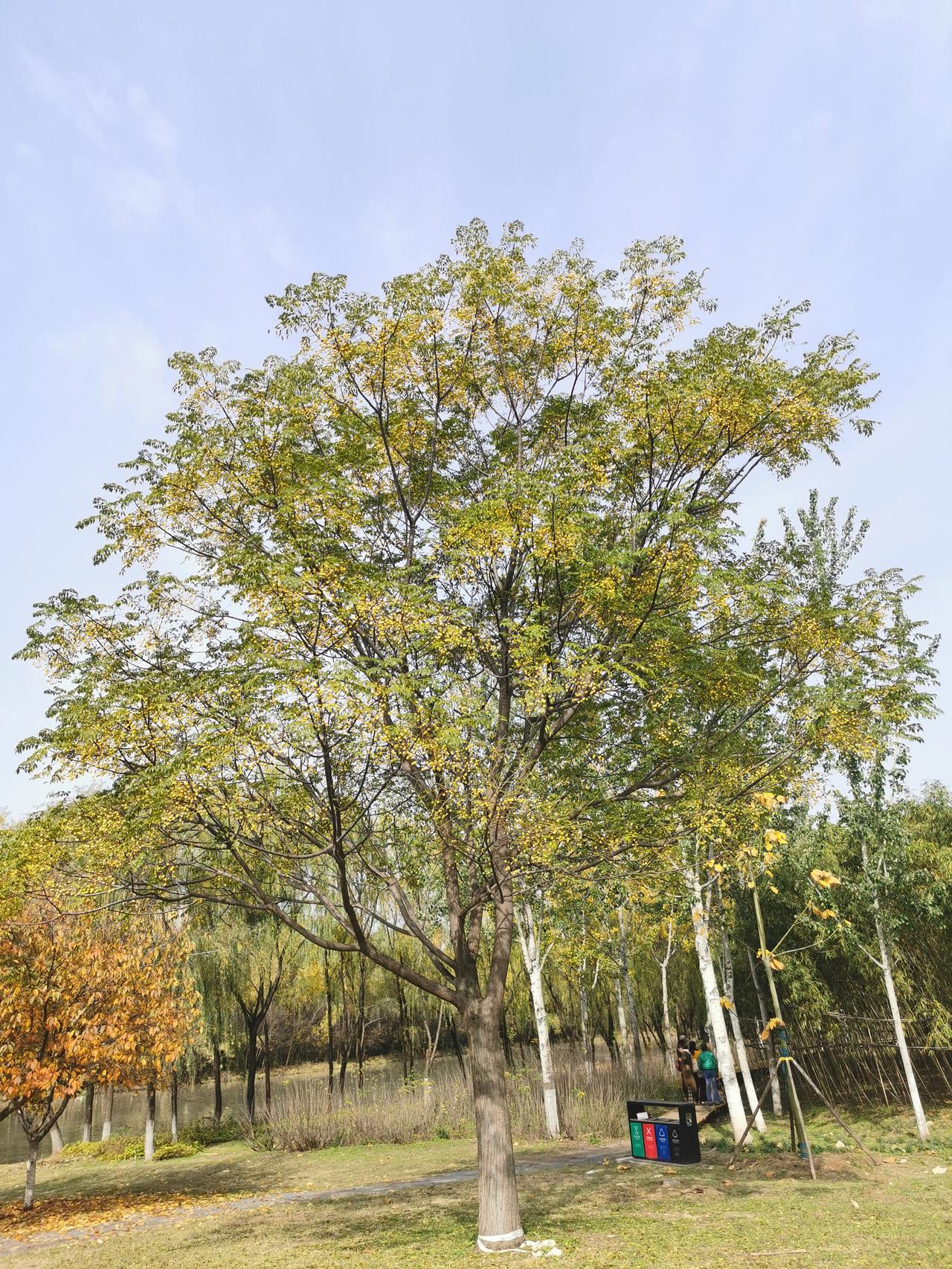 冬日生活打卡季