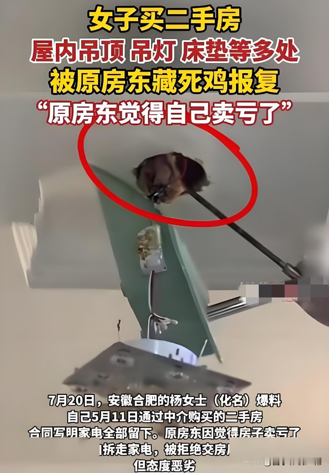 安徽合肥的杨女士满心欢喜收二手房，刚进屋就闻到刺鼻腐臭，打扫时发现吊顶不断渗出血