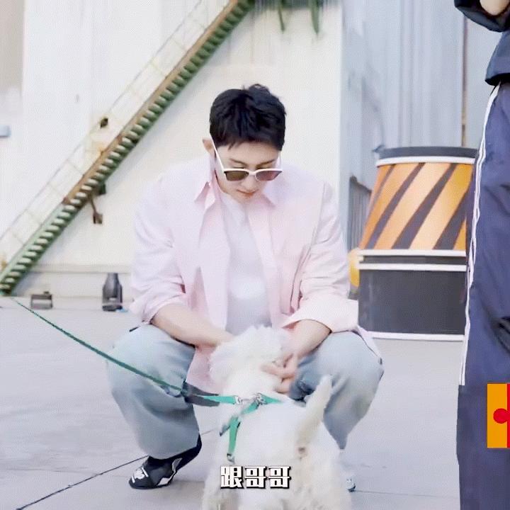 又撸狗૮・ᴥ - ა ​​​