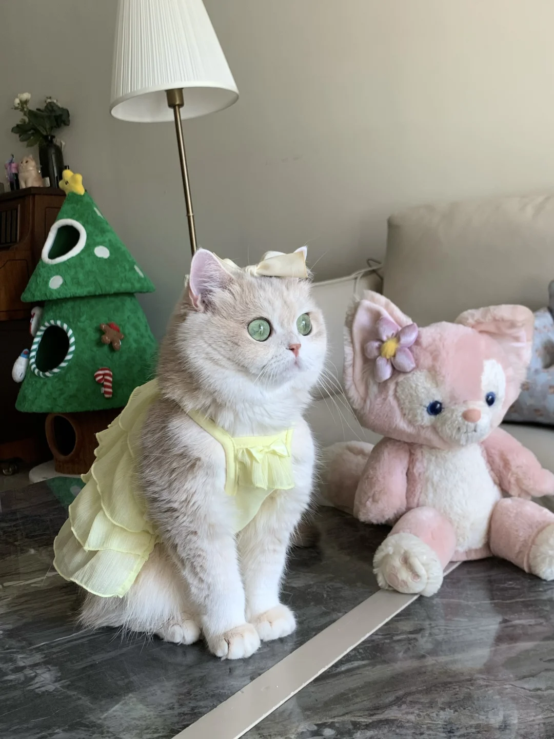 它怎么这么闪闪发光啊