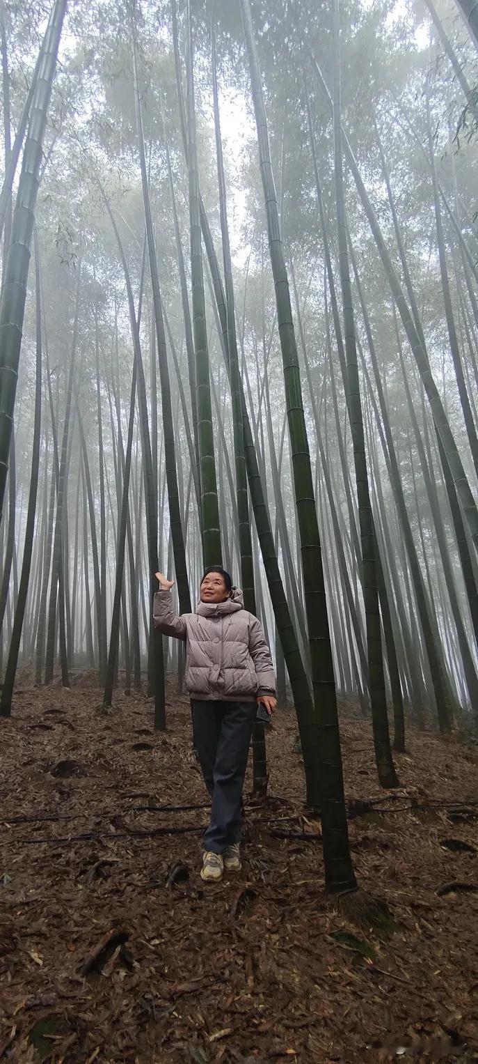 也许我们许多人旅游，是为了更好的挣钱和更好的生活[赞][赞][赞]
旅游是一种积