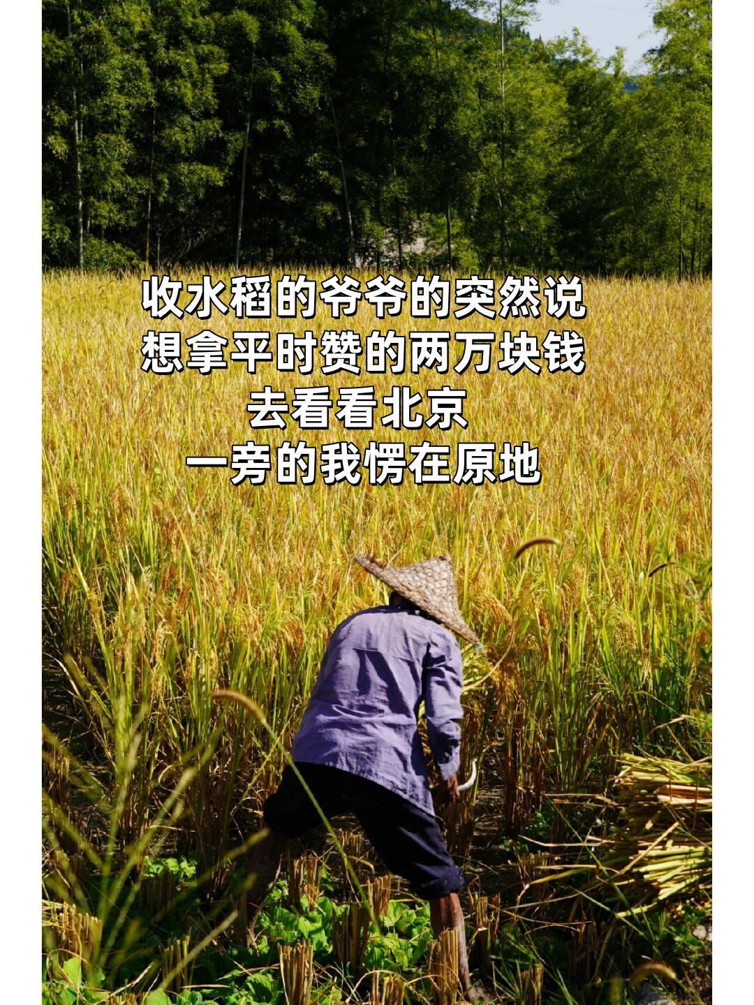 做了一个人生最大胆的决定，独自带着爷爷去北京啦！趁着爷爷还走的动，一切...