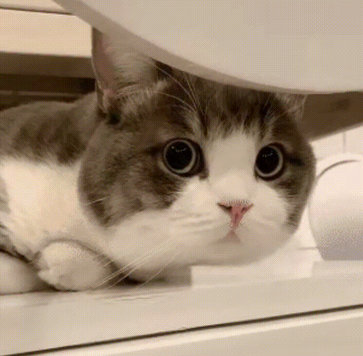 首页 有人像我这样平均一天掉一千多铁粉的吗有铁粉牌子的人举个手我看看