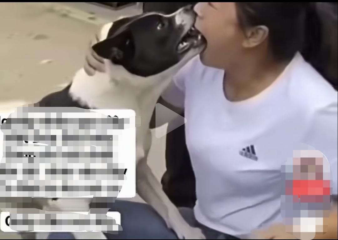 不同物种亲嘴的后果你知道吗？养宠物的朋友要注意了！
     现在生活富裕了，人