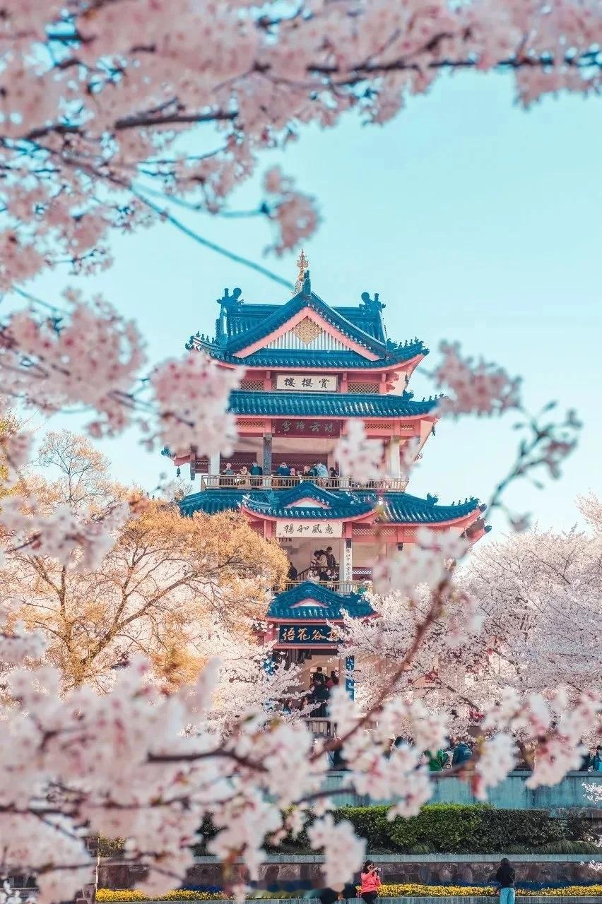 《国家地理》没有骗我！这几个地方美到失语！回顾这一年发现了许多让人流连忘返的地方