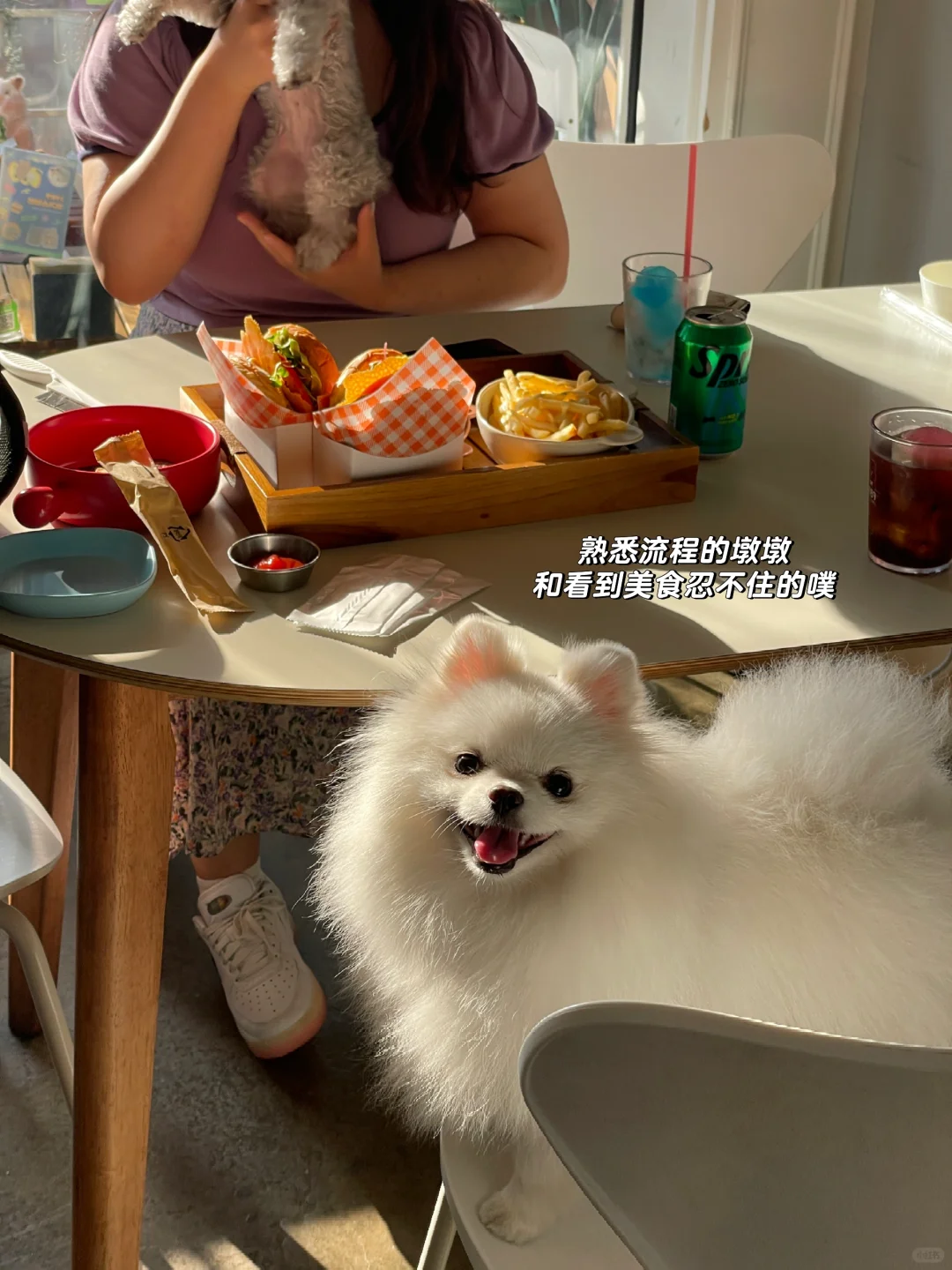 韩国延南洞狗狗友好汉堡店