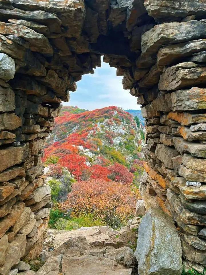 山东省临朐县红叶
穿越石门，就像踏入了秋天的梦幻王国。石门像是时光的入口，这边还
