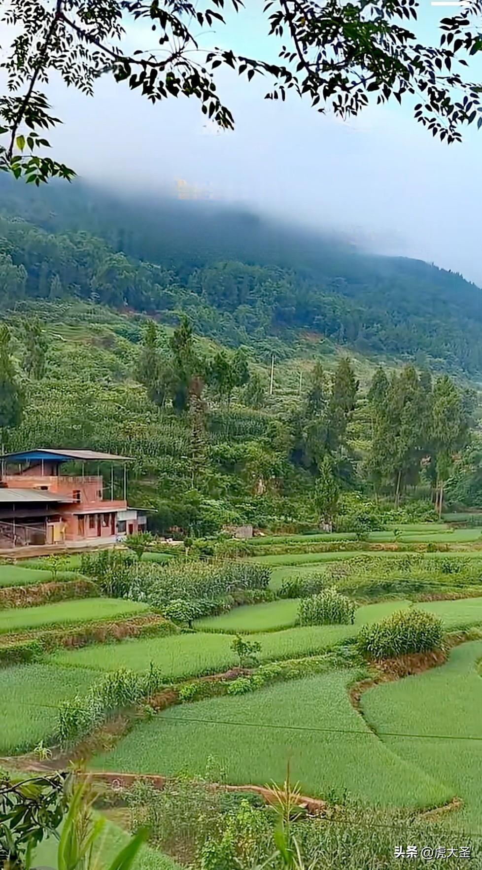 发张现拍的乡村风景照，真的美得不像话！
就像我之前在广西融水苗族自治县洞头镇看到