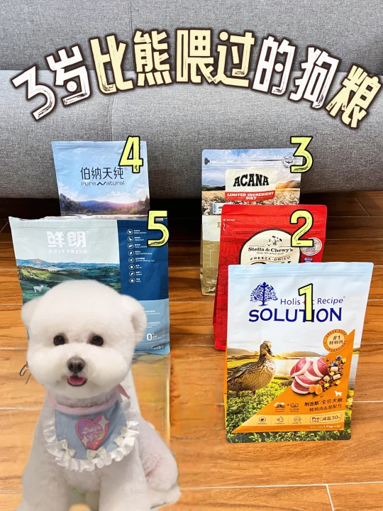 4岁比熊换粮复盘👉这个赛道真有狠货‼️