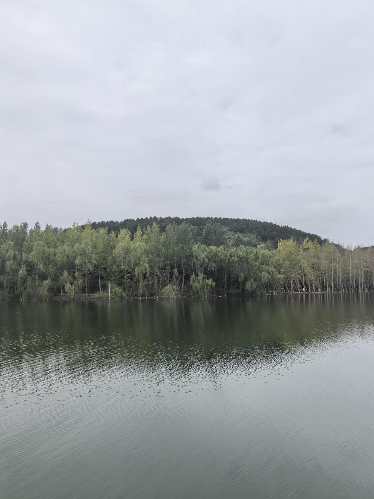湖光潋滟映碧空，树影婆娑入画屏。
知道这是什么地方吗？
