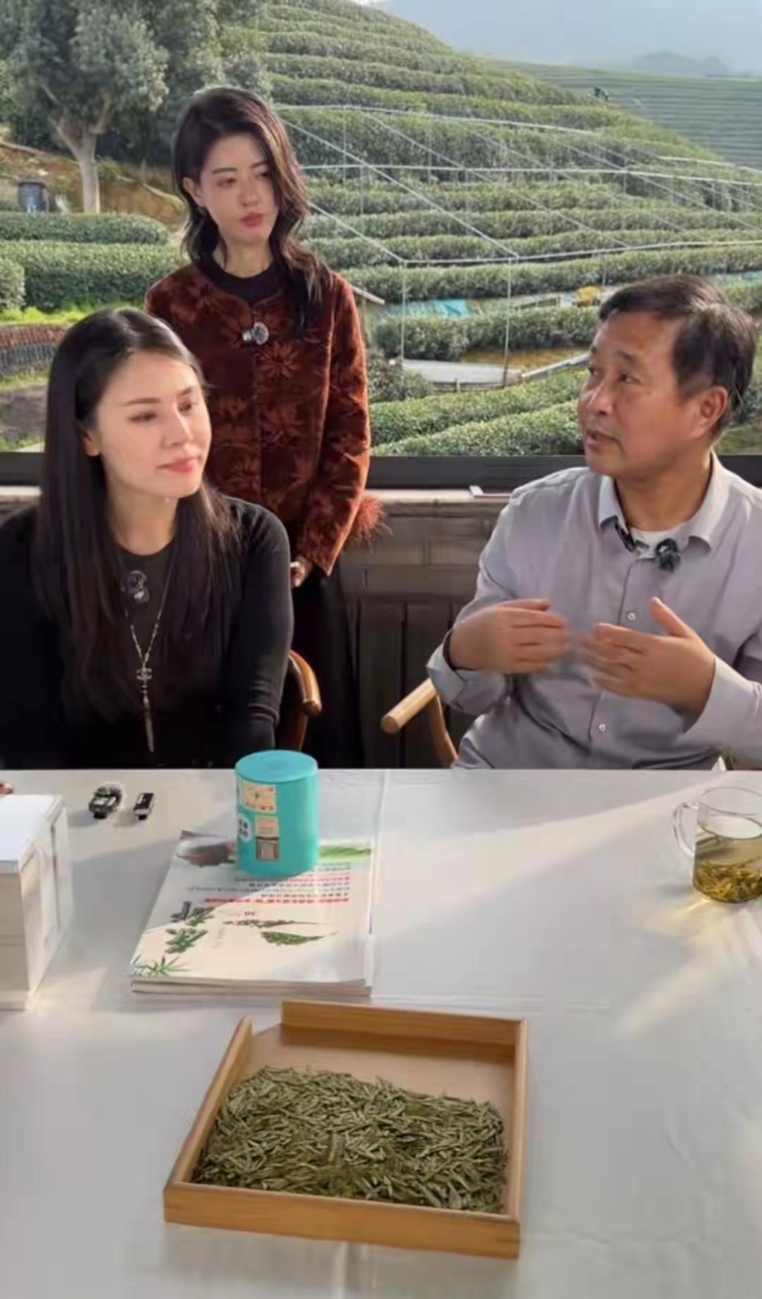 沈巍在杭州卖龙井茶，连续播了四天。

直播间里他讲陆游，讲唐婉，讲《钗头凤》，然