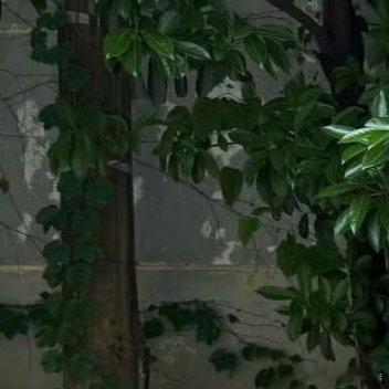善行缘于善心，有着善的心灵，就如同一股清泉，永不枯竭，清纯甘甜，发自内心的善，才