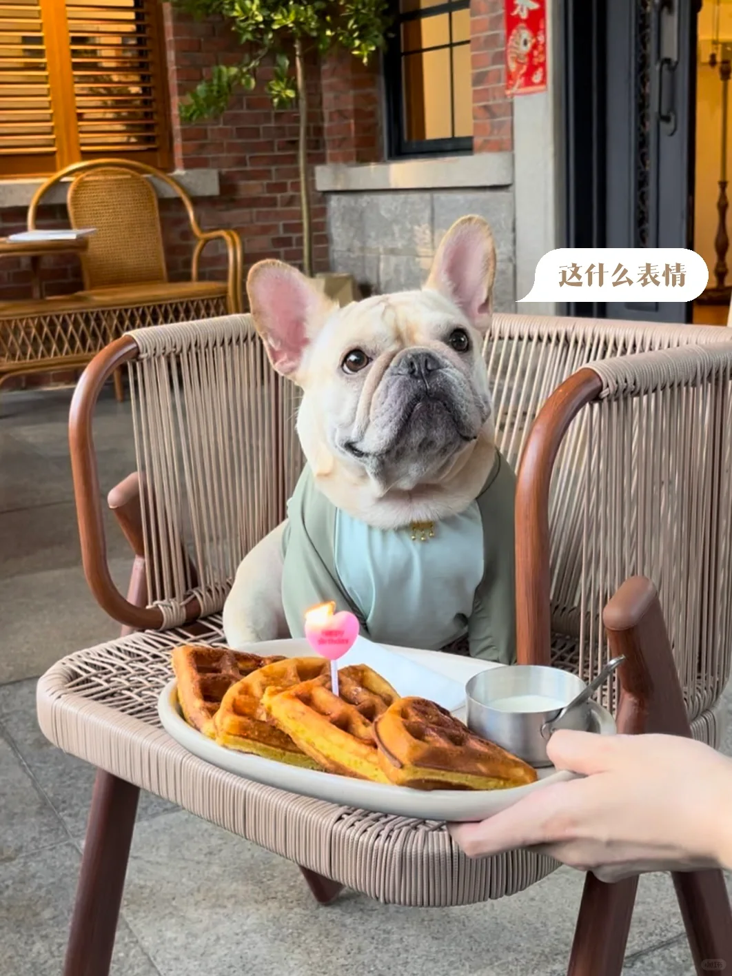 噔噔的四岁生日记录🎂就点个小蜡烛8