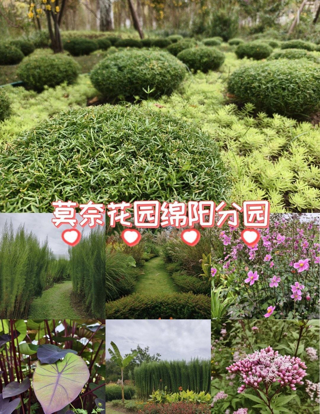 国庆，找个人少的地方溜达~
⛰️导航“松垭苗圃”，是市绿化的苗圃，停车10块，入