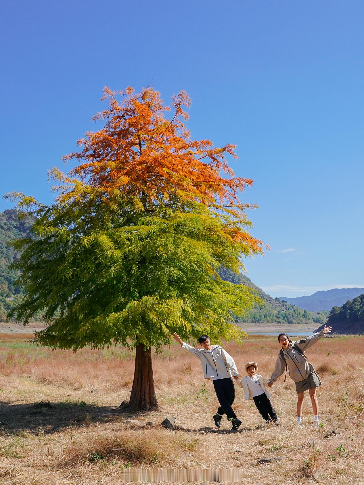 来宁波🔟年了，每年都会去拍秋景🍂好多地方的秋色都很美，也来不及去捕拍今年的秋