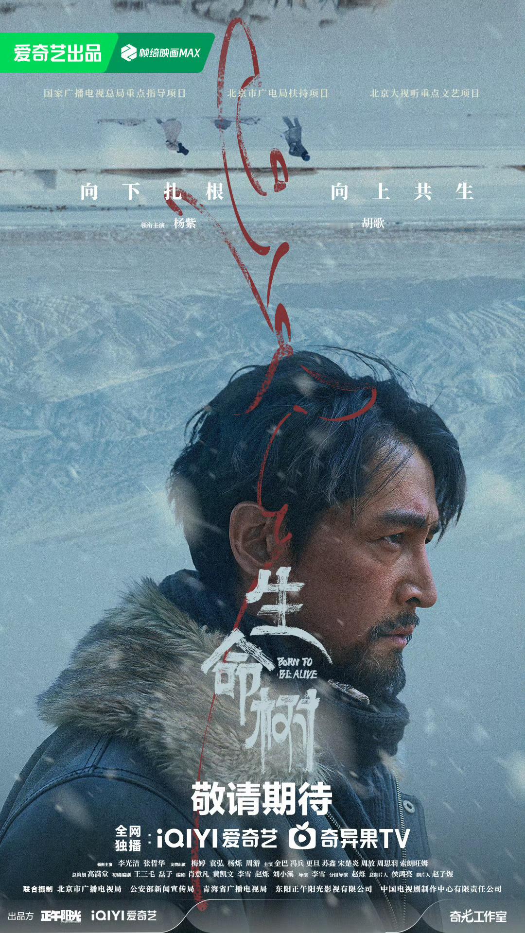 我要看这个生命树 生命树央八定档