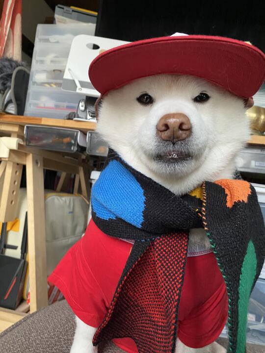 寺踢boy