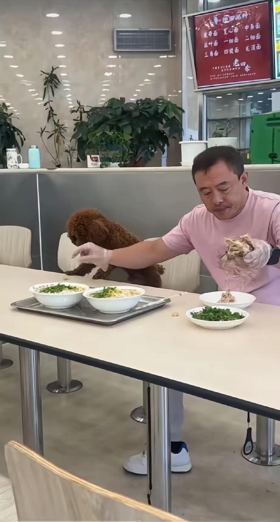 这看来是真爱，狗主与宠物同桌共食，丝毫不顾忌旁人的眼光，也不避讳店里的监控。
