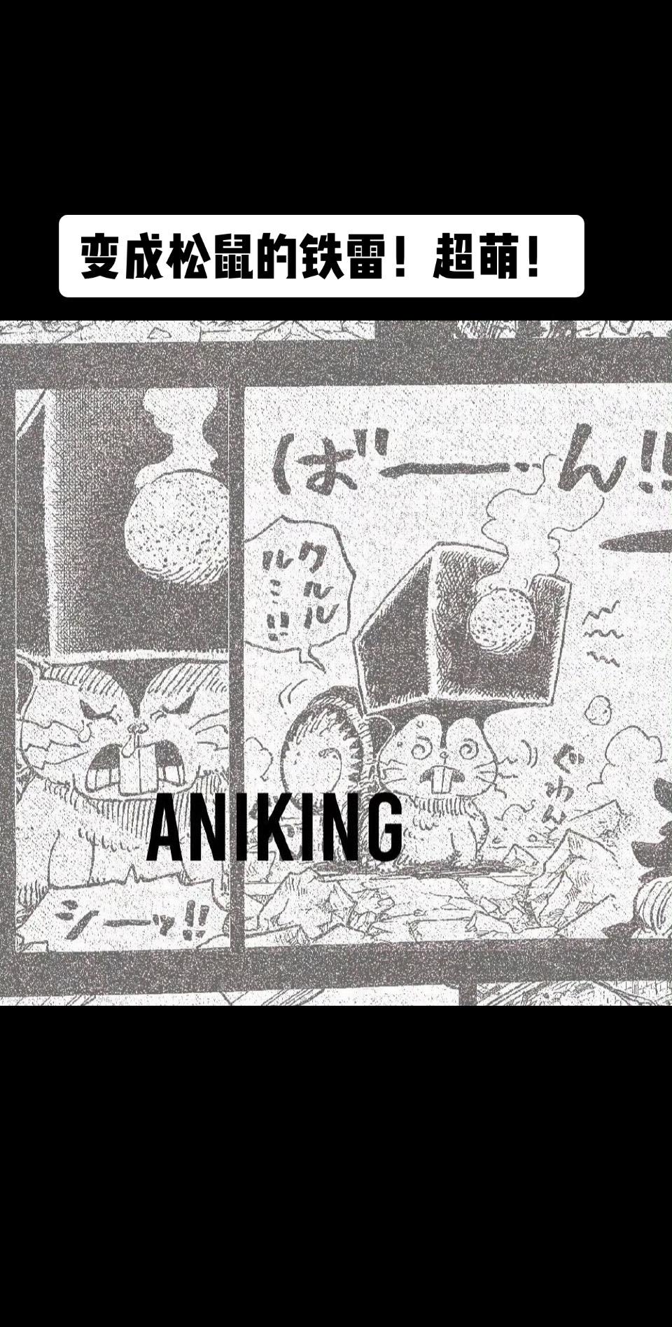 海贼王1170话情报图：变成松鼠的铁雷。被洛基打晕了！好萌