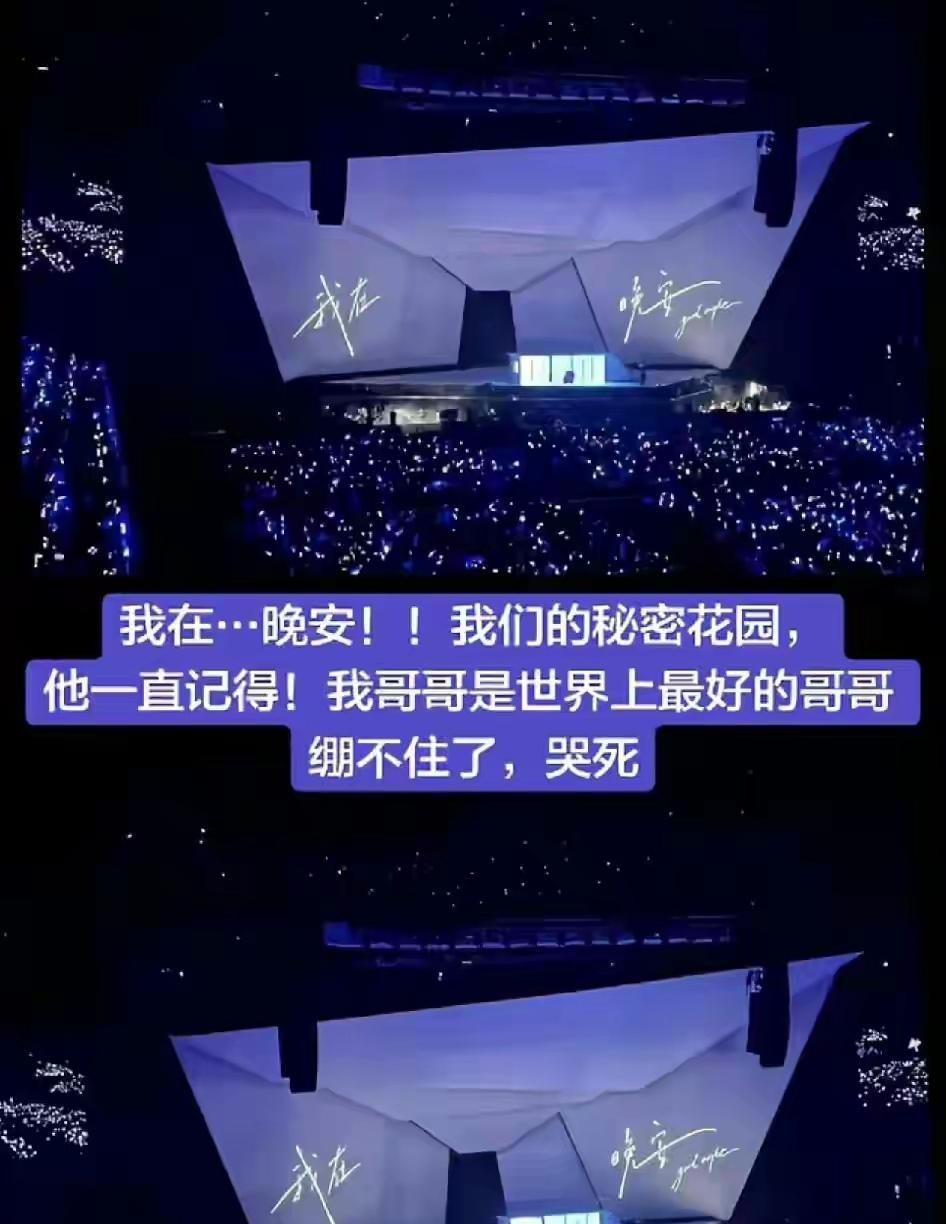 昨晚肖战南京演唱会散场那会儿，大屏幕上突然蹦出一句“我在，晚安！”。好多人举着灯