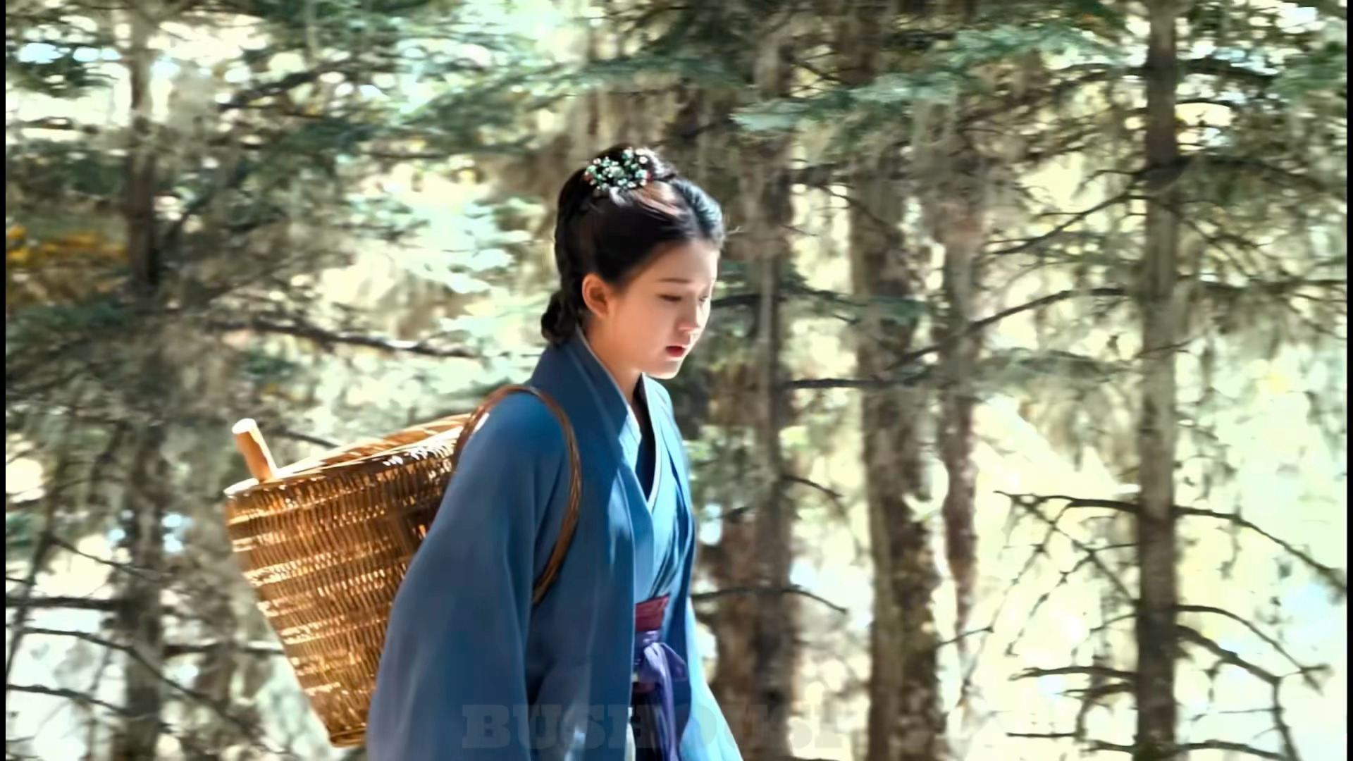 赵露思 /赵露思覃川 “采蘑菇的小姑娘 背着一个大箩筐” 