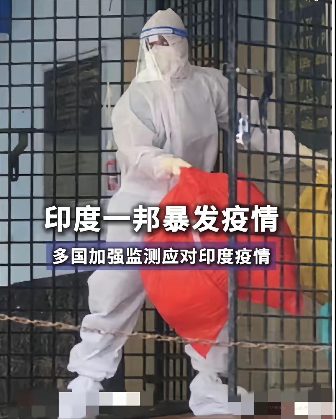 印度突发“尼帕”病毒，春节回家过年要当心！

最近印度那边出大事了，暴发了一种叫