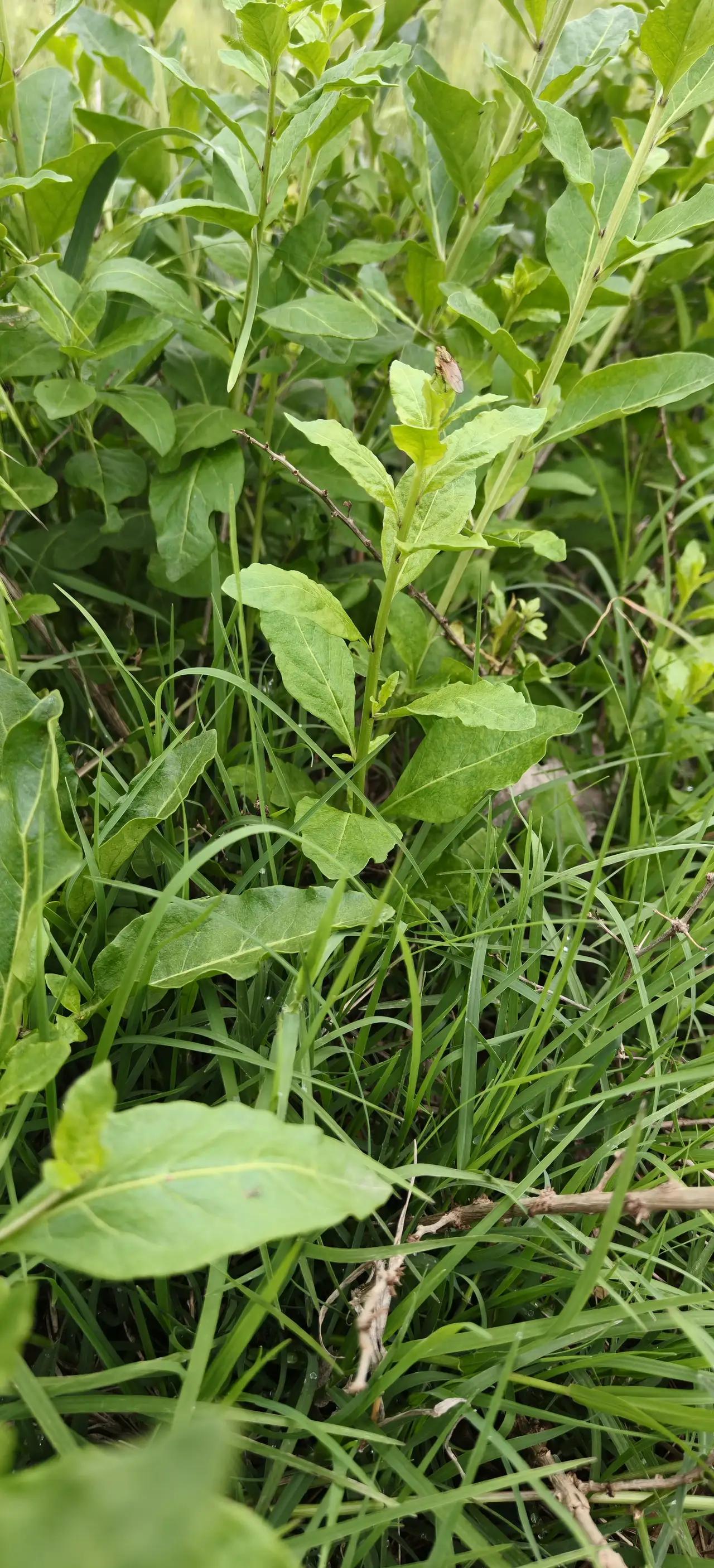 半生疏离，终得迟来的温柔

人生如流水，匆匆而过的岁月里，有些人注定成为彼此生命