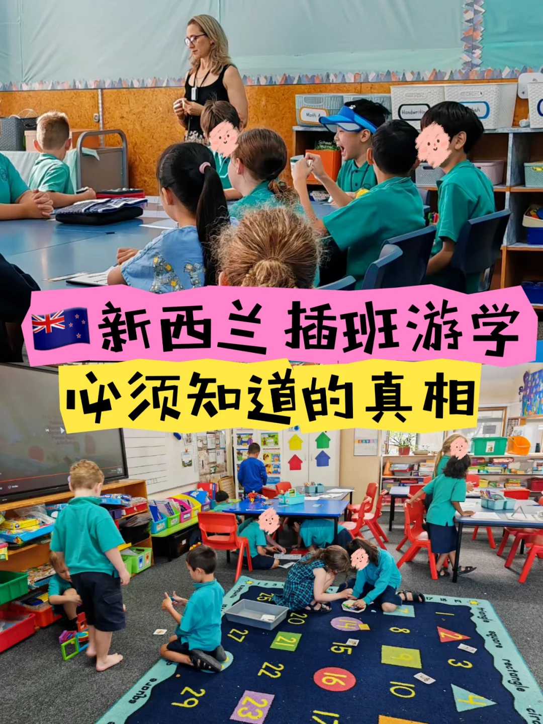 新西兰插班，必须知道的真相，别再踩坑了！
