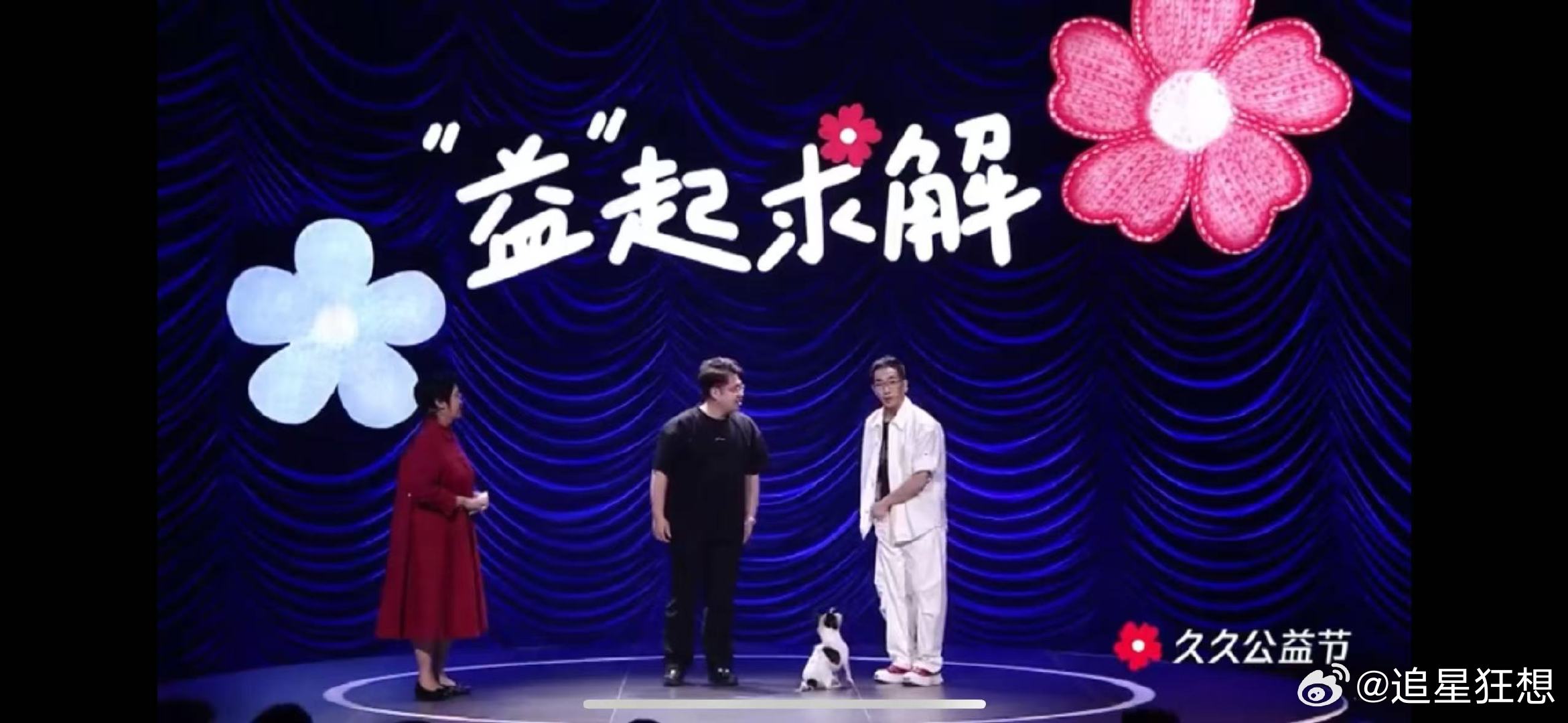 狗狗都能监督人类做平板支撑了 被一只13岁的高龄狗狗治愈到了 13岁高龄+大病初