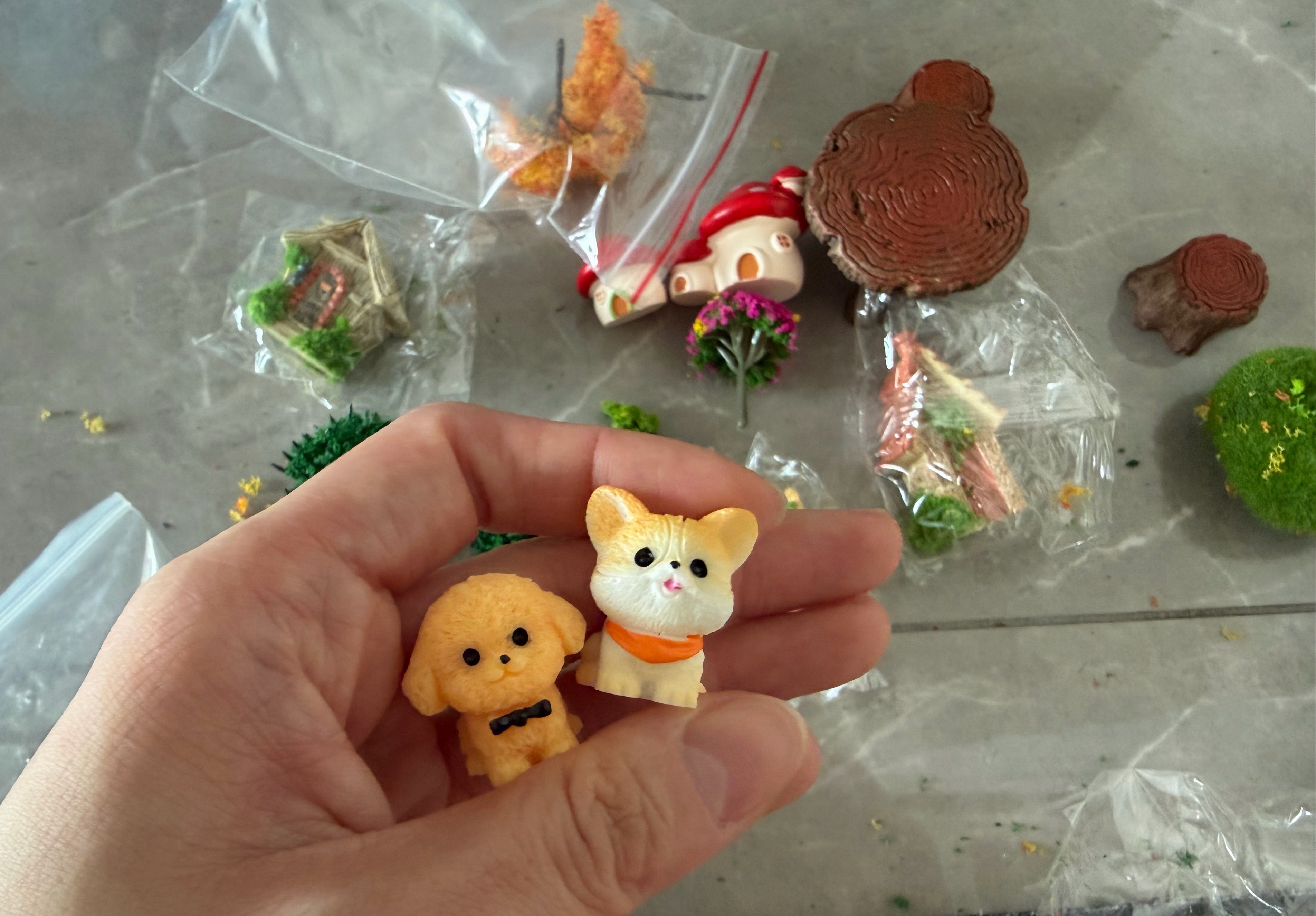 猜猜我要干嘛
