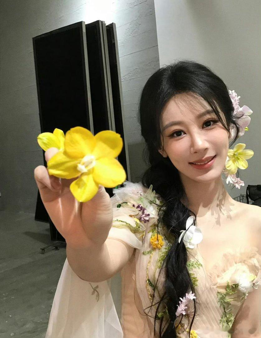 电视剧玉兰花开君再来 yz杨紫董竹君 yz杨紫玉兰花开君再来相似的花很多，但我只